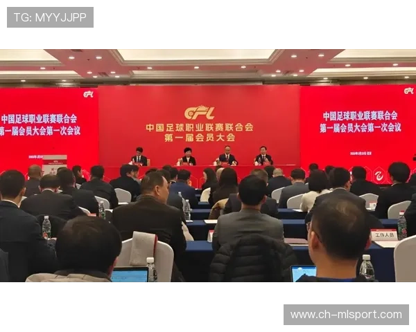 中国足球职业联赛市场分析,中国足球职业联赛正式开始 中国足球职业联赛市场分析,中国足球职业联赛正式开始