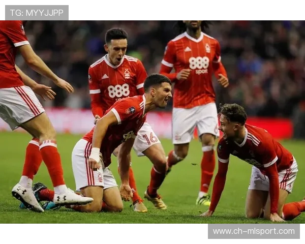 桑德兰黑马传奇:最强升班马四大理由,桑德兰传奇球员 桑德兰黑马传奇:最强升班马四大理由,桑德兰传奇球员