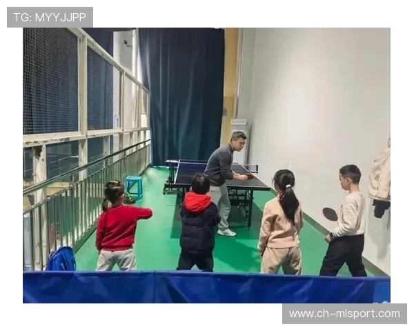 青少年体育辅助课程 开展营养与恢复教学，青少年体育培训项目有哪些