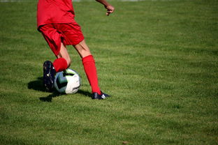 米兰体育官网平台-中国篮球青年运动员选拔体系研究，中国篮球国家青年队选拔方式